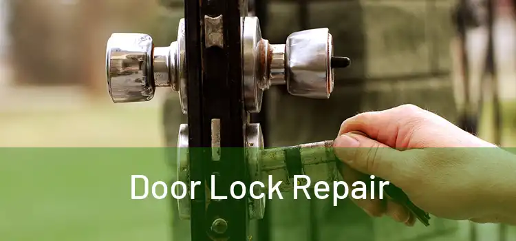 Door Lock Repair