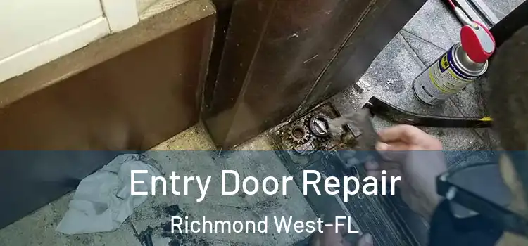  Entry Door Repair Richmond West-FL