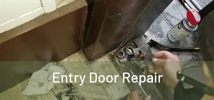 Entry Door Repair